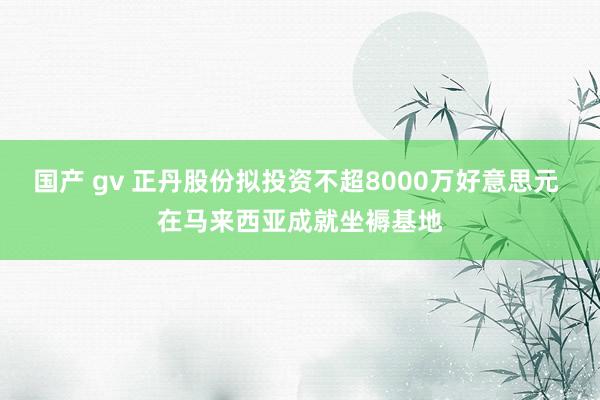 国产 gv 正丹股份拟投资不超8000万好意思元 在马来西亚成就坐褥基地