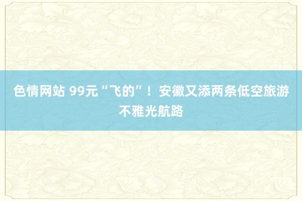 色情网站 99元“飞的”！安徽又添两条低空旅游不雅光航路