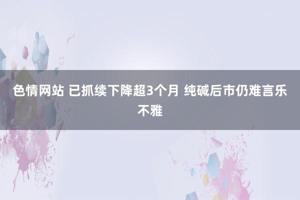 色情网站 已抓续下降超3个月 纯碱后市仍难言乐不雅