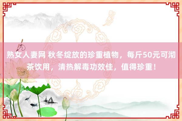 熟女人妻网 秋冬绽放的珍重植物，每斤50元可沏茶饮用，清热解毒功效佳，值得珍重！