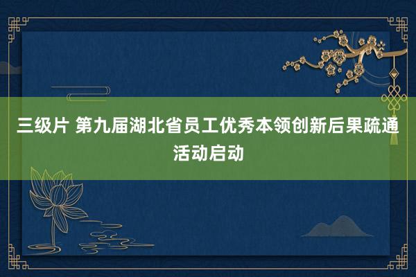 三级片 第九届湖北省员工优秀本领创新后果疏通活动启动