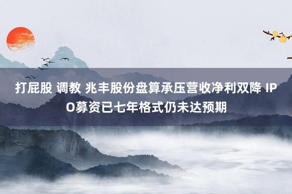 打屁股 调教 兆丰股份盘算承压营收净利双降 IPO募资已七年格式仍未达预期