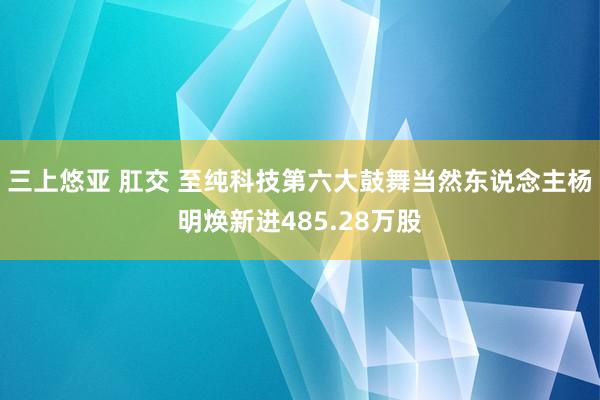 三上悠亚 肛交 至纯科技第六大鼓舞当然东说念主杨明焕新进485.28万股