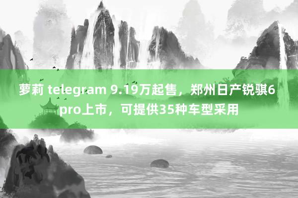 萝莉 telegram 9.19万起售，郑州日产锐骐6 pro上市，可提供35种车型采用