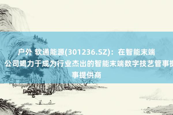 户外 软通能源(301236.SZ)：在智能末端畛域，公司竭力于成为行业杰出的智能末端数字技艺管事提供商