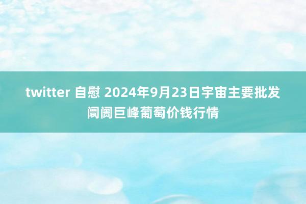 twitter 自慰 2024年9月23日宇宙主要批发阛阓巨峰葡萄价钱行情