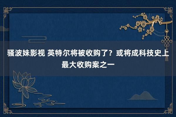 骚波妹影视 英特尔将被收购了？或将成科技史上最大收购案之一