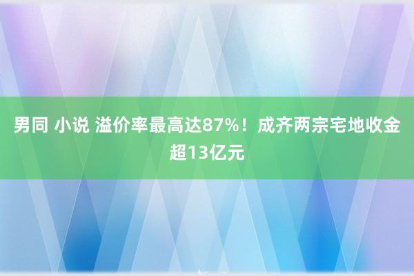 男同 小说 溢价率最高达87%！成齐两宗宅地收金超13亿元