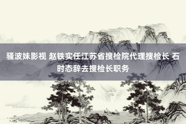 骚波妹影视 赵铁实任江苏省搜检院代理搜检长 石时态辞去搜检长职务