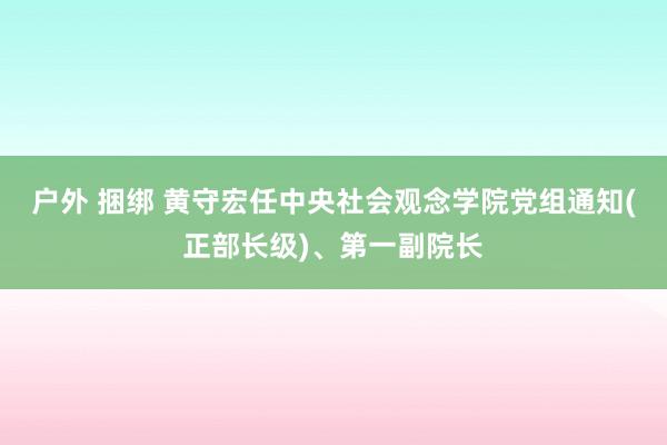 户外 捆绑 黄守宏任中央社会观念学院党组通知(正部长级)、第一副院长