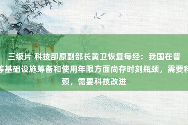 三级片 科技部原副部长黄卫恢复每经：我国在普及桥梁等基础设施筹备和使用年限方面尚存时刻瓶颈，需要科技改进