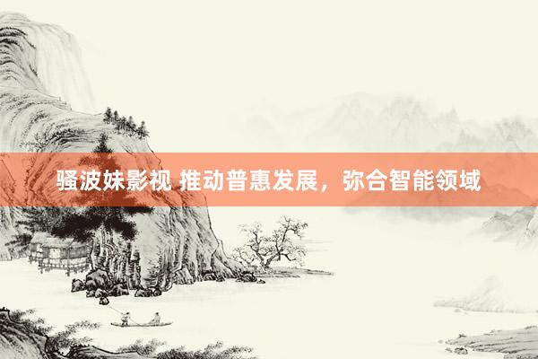 骚波妹影视 推动普惠发展，弥合智能领域