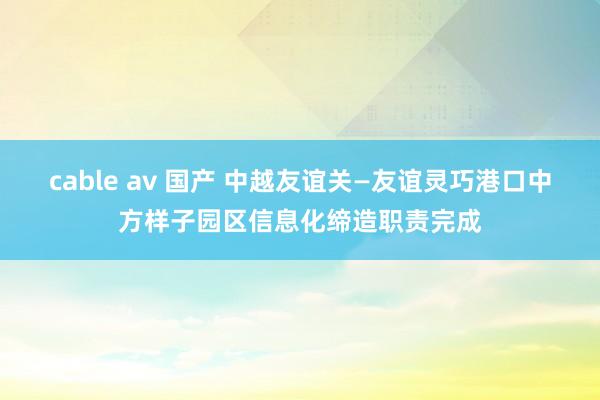 cable av 国产 中越友谊关—友谊灵巧港口中方样子园区信息化缔造职责完成