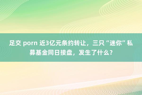 足交 porn 近3亿元条约转让，三只“迷你”私募基金同日接盘，发生了什么？