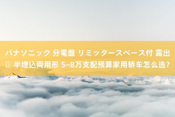 パナソニック 分電盤 リミッタースペース付 露出・半埋込両用形 5~8万支配预算家用轿车怎么选？