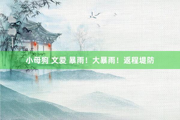 小母狗 文爱 暴雨！大暴雨！返程堤防