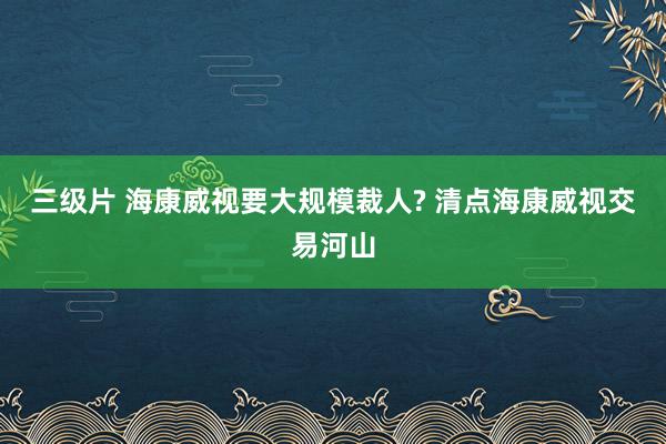 三级片 海康威视要大规模裁人? 清点海康威视交易河山