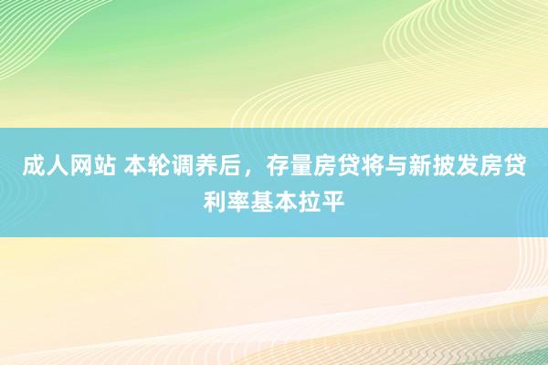 成人网站 本轮调养后，存量房贷将与新披发房贷利率基本拉平