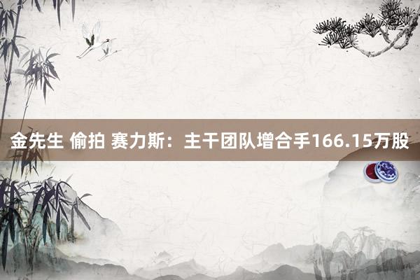 金先生 偷拍 赛力斯：主干团队增合手166.15万股