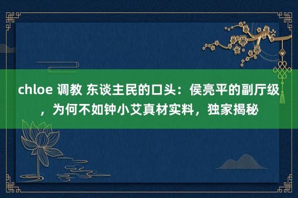 chloe 调教 东谈主民的口头：侯亮平的副厅级，为何不如钟小艾真材实料，独家揭秘