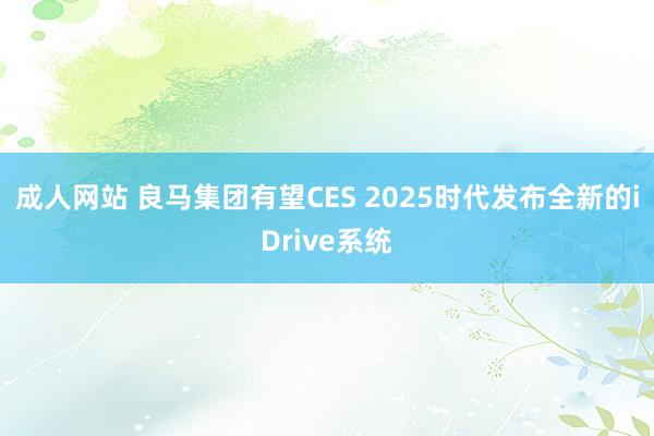 成人网站 良马集团有望CES 2025时代发布全新的iDrive系统