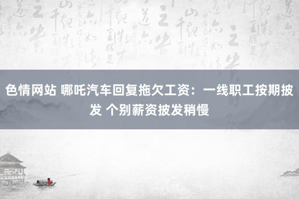 色情网站 哪吒汽车回复拖欠工资：一线职工按期披发 个别薪资披发稍慢