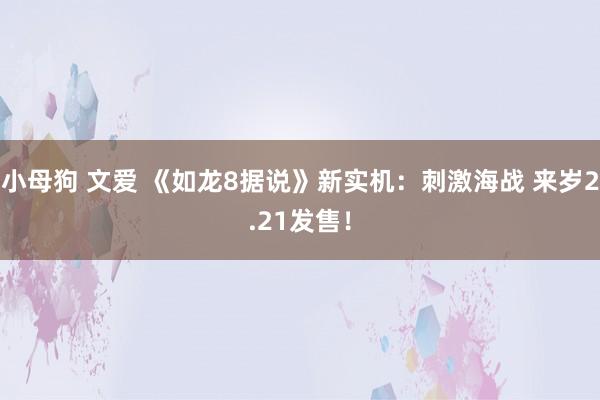 小母狗 文爱 《如龙8据说》新实机：刺激海战 来岁2.21发售！