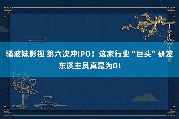 骚波妹影视 第六次冲IPO！这家行业“巨头”研发东谈主员真是为0！