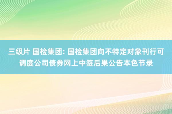 三级片 国检集团: 国检集团向不特定对象刊行可调度公司债券网上中签后果公告本色节录