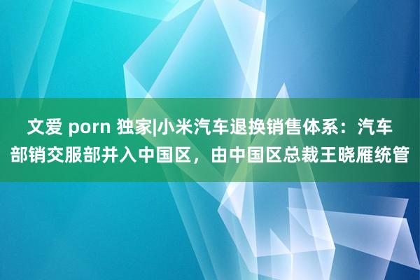 文爱 porn 独家|小米汽车退换销售体系：汽车部销交服部并入中国区，由中国区总裁王晓雁统管