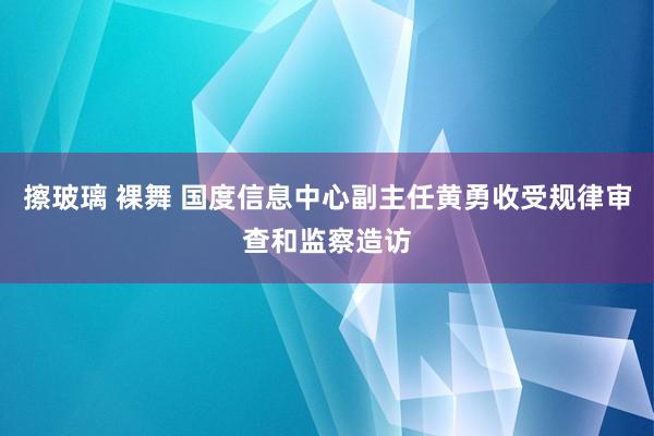 擦玻璃 裸舞 国度信息中心副主任黄勇收受规律审查和监察造访