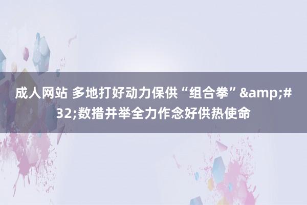 成人网站 多地打好动力保供“组合拳”&#32;数措并举全力作念好供热使命