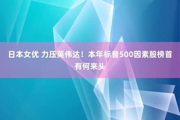 日本女优 力压英伟达！本年标普500因素股榜首有何来头