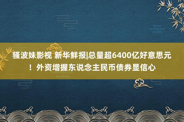 骚波妹影视 新华鲜报|总量超6400亿好意思元！外资增握东说念主民币债券显信心