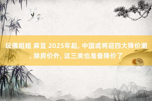 玩偶姐姐 麻豆 2025年起， 中国或将迎四大降价潮， 除房价外， 这三类也准备降价了