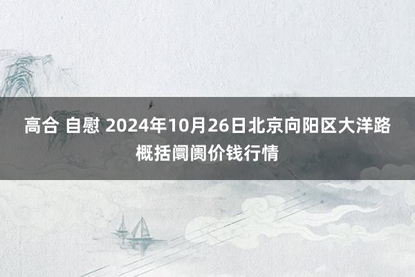 高合 自慰 2024年10月26日北京向阳区大洋路概括阛阓价钱行情