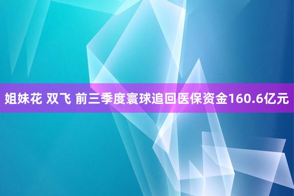 姐妹花 双飞 前三季度寰球追回医保资金160.6亿元