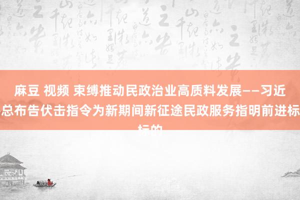 麻豆 视频 束缚推动民政治业高质料发展——习近平总布告伏击指令为新期间新征途民政服务指明前进标的