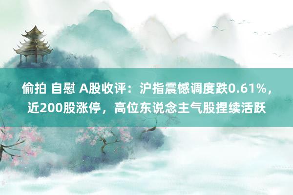 偷拍 自慰 A股收评：沪指震憾调度跌0.61%，近200股涨停，高位东说念主气股捏续活跃