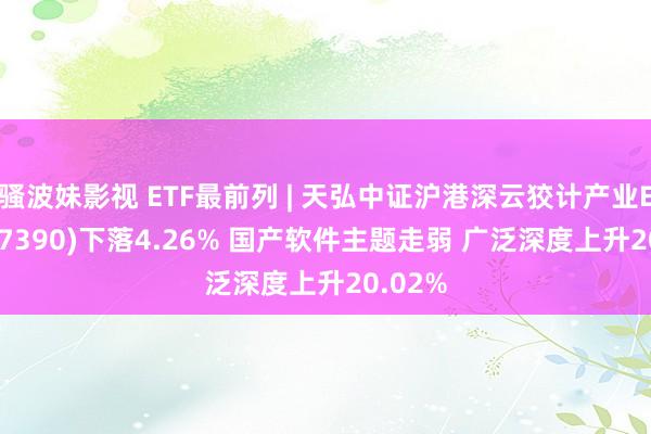 骚波妹影视 ETF最前列 | 天弘中证沪港深云狡计产业ETF(517390)下落4.26% 国产软件主题走弱 广泛深度上升20.02%