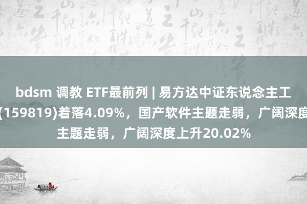 bdsm 调教 ETF最前列 | 易方达中证东说念主工智能主题ETF(159819)着落4.09%，国产软件主题走弱，广阔深度上升20.02%