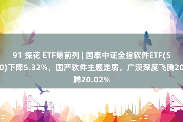 91 探花 ETF最前列 | 国泰中证全指软件ETF(515230)下降5.32%，国产软件主题走弱，广漠深度飞腾20.02%