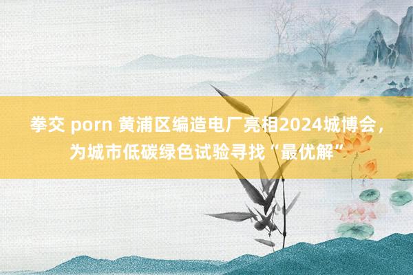 拳交 porn 黄浦区编造电厂亮相2024城博会，为城市低碳绿色试验寻找“最优解”