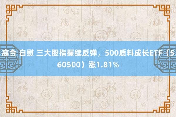 高合 自慰 三大股指握续反弹，500质料成长ETF（560500）涨1.81%