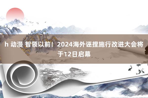 h 动漫 智领以前！2024海外诬捏施行改进大会将于12日启幕