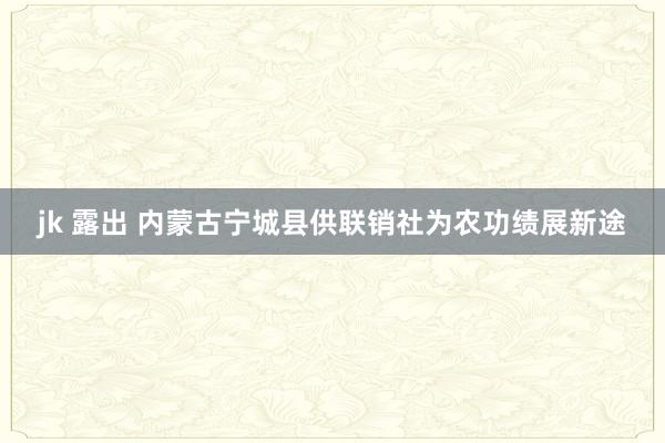 jk 露出 内蒙古宁城县供联销社为农功绩展新途