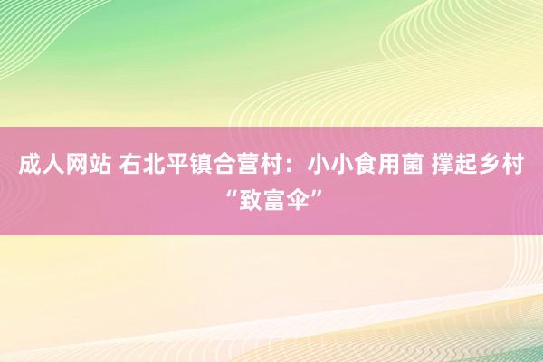 成人网站 右北平镇合营村：小小食用菌 撑起乡村“致富伞”