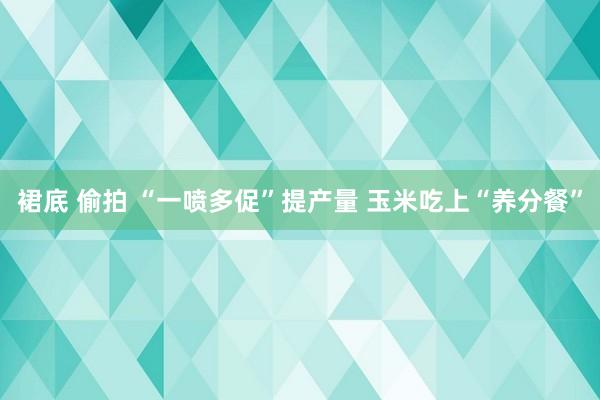 裙底 偷拍 “一喷多促”提产量 玉米吃上“养分餐”