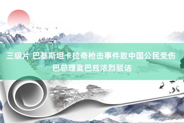 三级片 巴基斯坦卡拉奇枪击事件致中国公民受伤 巴总理夏巴兹浓烈驳诘