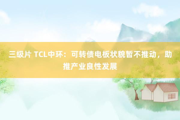 三级片 TCL中环：可转债电板状貌暂不推动，助推产业良性发展